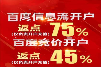 搜索开户返点揭秘：成功案例分享